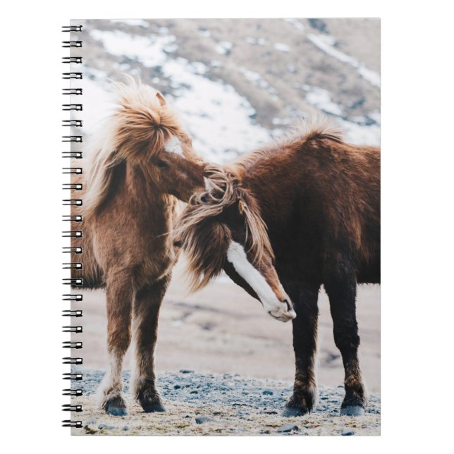 TVÅ BROWN HORSES PÅ FÄLT ANTECKNINGSBOK (Framsidan)