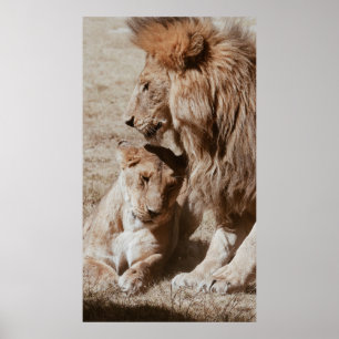 TVÅ BROWN LEJONARE PÅ GRÖNT FÄLT POSTER