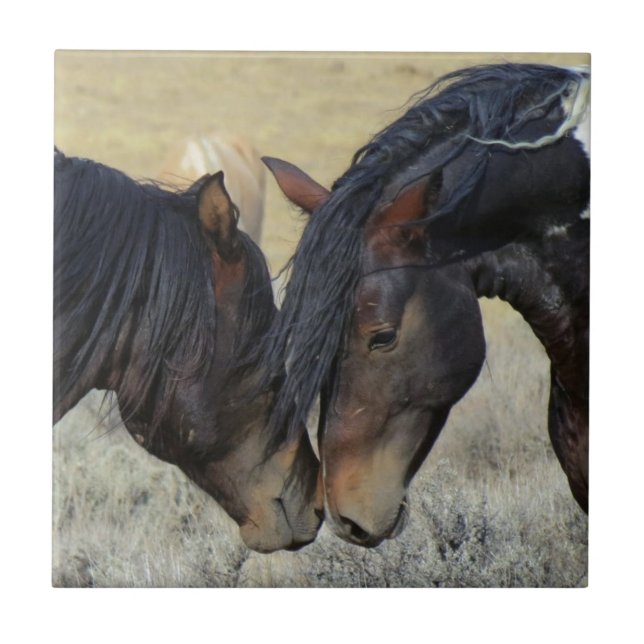 Två bruna Vild Horses Nuzzling Kakelplatta (Framsidan)