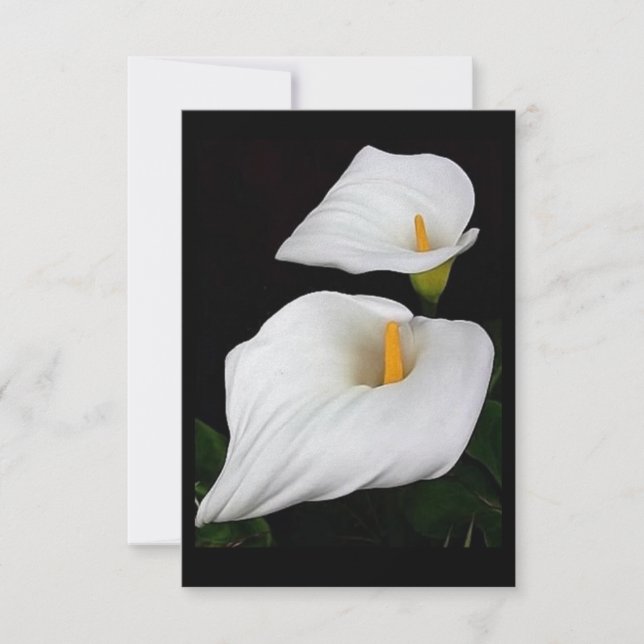 Två Calla Lilies #9 (Framsida)