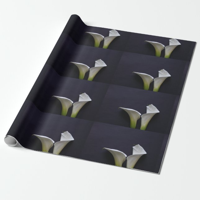 Två calla lilies på svart presentpapper (Utrullad)