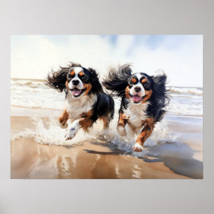 Två Cavalier King Charles Spaniels Poster
