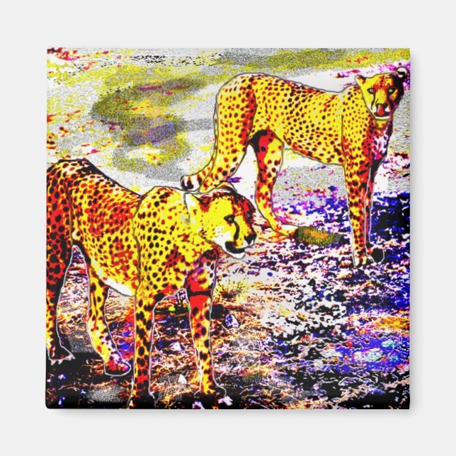 Två Cheetahs Magnet (Framsidan)