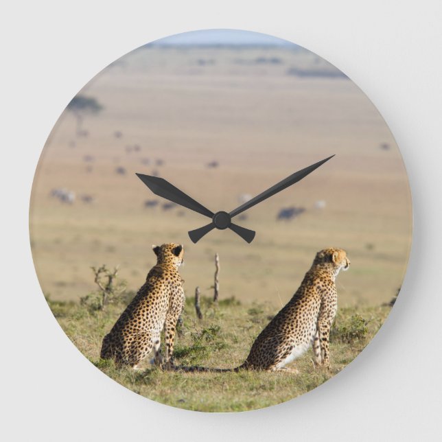 Två cheetahs på proppen stor klocka (Framsida)