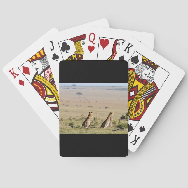 Två cheetahs på utkik casinokort (Baksidan)
