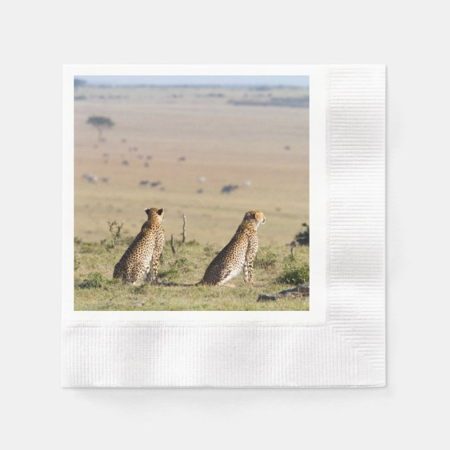 Två cheetahs på utsikt pappersservett (Framsidan)