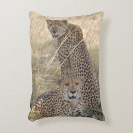 Två Cheetahs Pillow Prydnadskudde