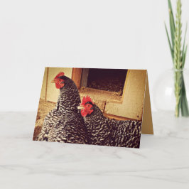 Två Chickens Cuddling Kort