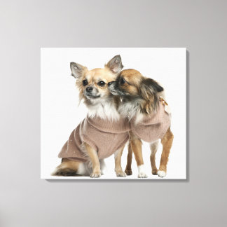 Två Chihuahuas klädda (2 år gamla) Canvastryck