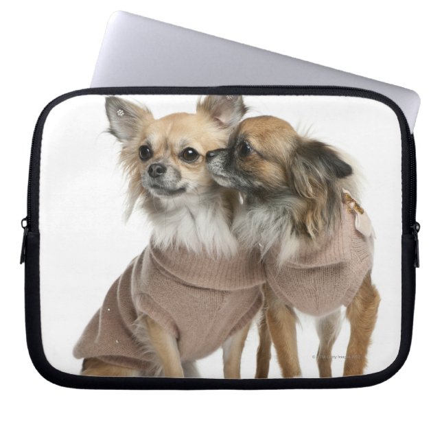Två Chihuahuas klädda (2 år gamla) Laptop Fodral (Framsidan)