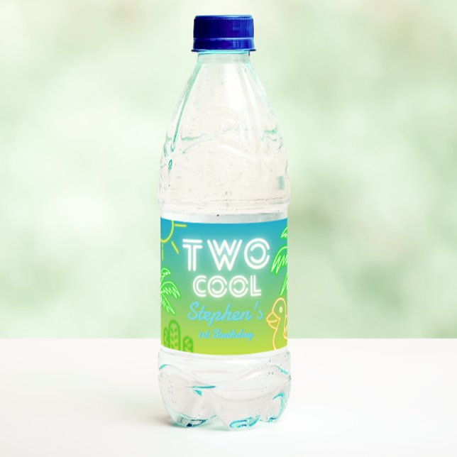Två Coolor andra födelsedagen Vattenflaskor Etikett (Two Cool 2nd Birthday Water Bottle Label)