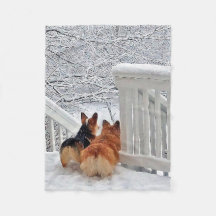 Två Corgis i snön