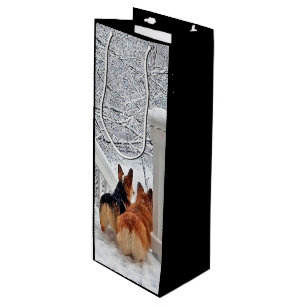 Två Corgis i vinter