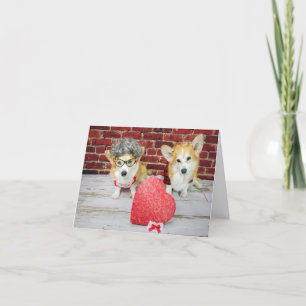 Två Corgis med hjärtans godis kort