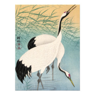 Två Cranes av Ohara Koson Fototryck