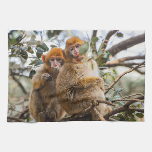 Två Cute-apor Kökshandduk