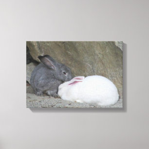 Två Cute Bunny Rabbits Canvastryck