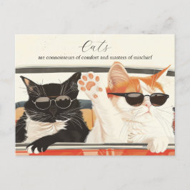 Två Cute Cats Vykort