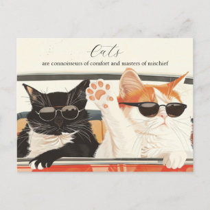 Två Cute Cats Vykort