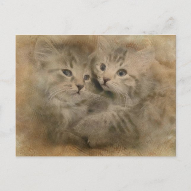 Två Cute Grått-strimlade kattungar i vattenfärg Vykort (Framsida)