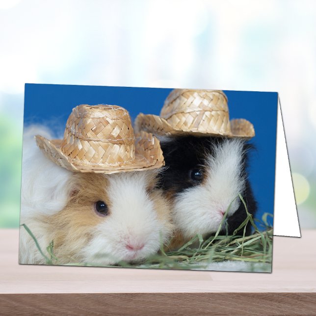 Två Cute Guinea-Grisar-hälsningskort Kort (Skapare uppladdad)