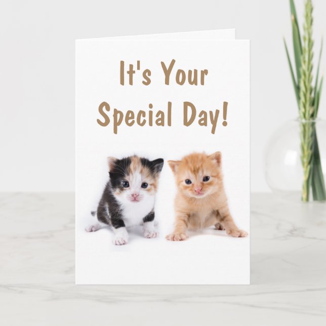 Två Cute Kittens födelsedag Kort (Framsida)
