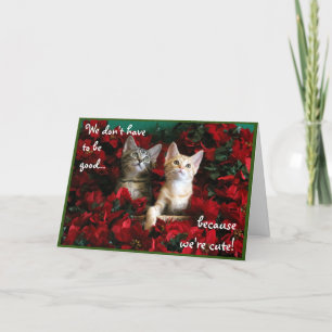 Två Cute Kittens och Red Poinsettias Kort