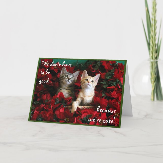 Två Cute Kittens och Red Poinsettias Kort (Framsida)