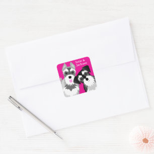 Två Cute Schnauzers Fyrkantigt Klistermärke