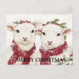 Två Cute Sheep Vykort