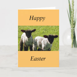 Två Cute Vår Lambs Påsk-kort Helgkort