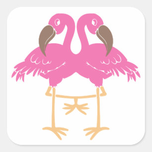 Två dansflamingos fyrkantigt klistermärke