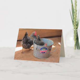 Två Darn Cute Chickens Kort