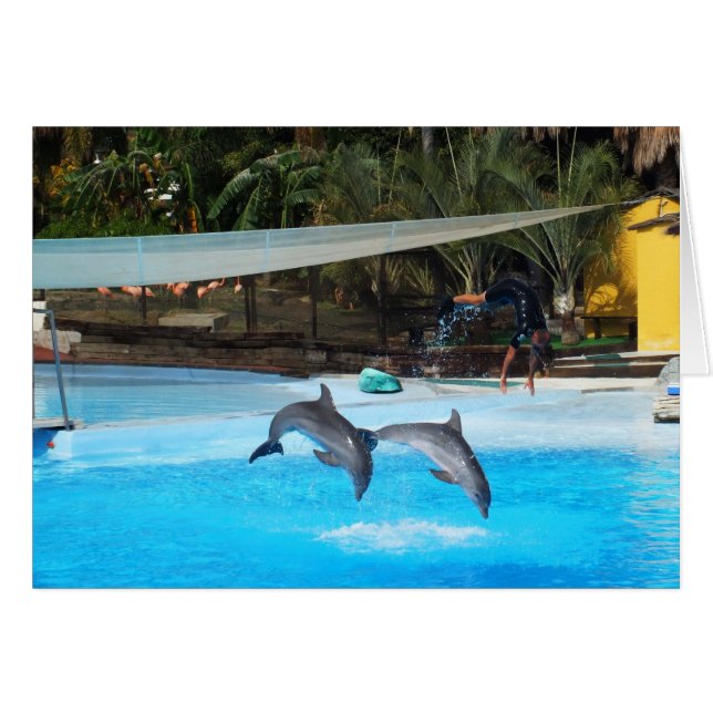 Två delfiner hälsningskort (Framsidan Horizontal)