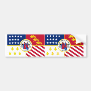 TVÅ Detroit flagga Bildekal