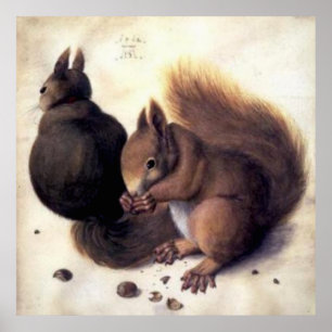 "Två ekorrar" av Albrecht Dürer Poster