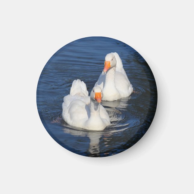 Två Emden Geese II Magnet (Framsidan)