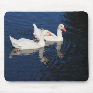 Två Emden Geese Musmatta