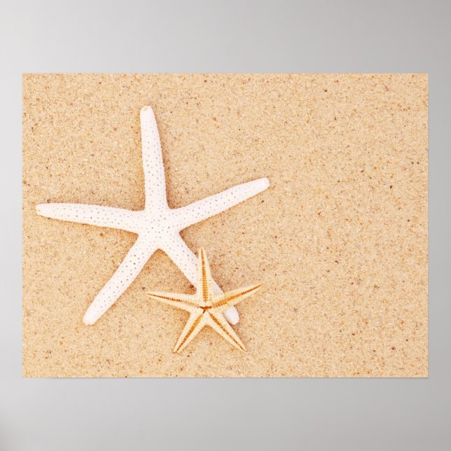 Två enkla stjärnfiskar poster (Framsidan)