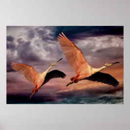Två fåglar poster