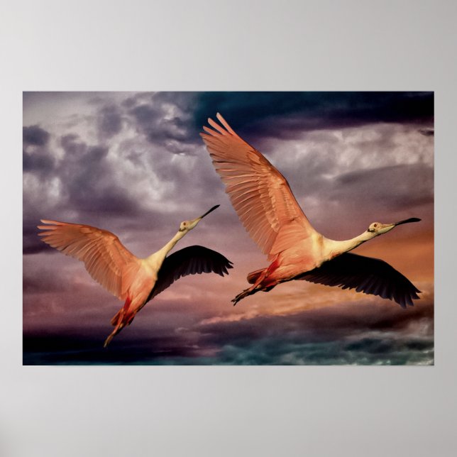 Två fåglar poster (Framsidan)