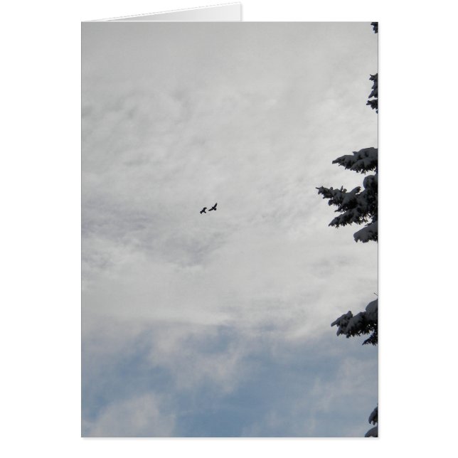 Två fåglar som flyger kick hälsningskort (Framsidan)