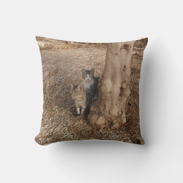 TVÅ FÅGSKATTER I EN FÄLT ORIGINAL BILD ART KUDDE (Framsida)