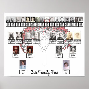 Två familjers Rosa Fractal Träd Photo Namn Poster