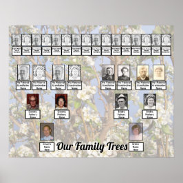 Två familjeträd på vita blommor Foto Poster