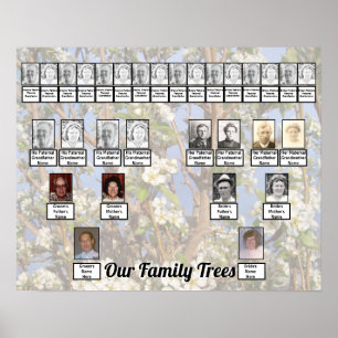 Två familjeträd på vita blommor Foto Poster
