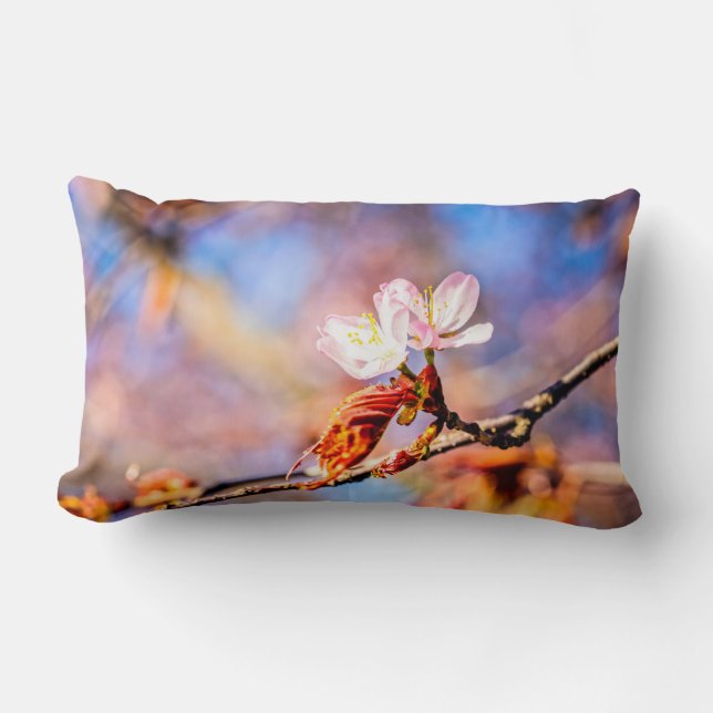 Två Fantastisk Sakura Flowers. Rosa, blå bakgrund Lumbarkudde (Framsida)