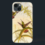 Två färgade Hummingbird som eftersträvar samma blo<br><div class="desc">Konstnären John Gould var passionerad om fåglar. I denna färgad är de två hummingfåglarna och blomman vackert representerade i teckning. Detaljerna i denna färgstarka bra kommer att glädja älskare.</div>