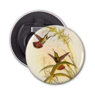 Två färgade Hummingbird som eftersträvar samma blo Flasköppnare