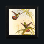 Två färgade Hummingbird som eftersträvar samma blo Minnesask<br><div class="desc">Konstnären John Gould var passionerad över fåglar. I färgaden teckning representeras de två hummingfåglarna och blomman på ett utmärkt sätt. Detaljerna i den här färgstarka bran kommer att glädja älskare.</div>